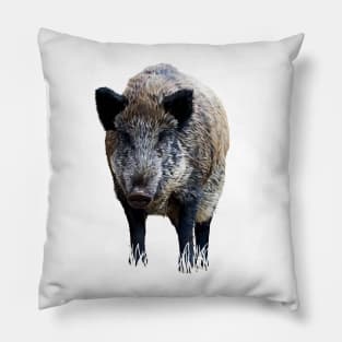 Wild boar Pillow