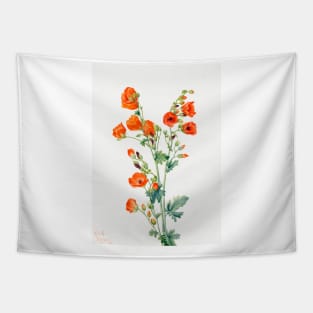 Scarlet Globe Mallow By Mary Vaux Walcott. Tapestry