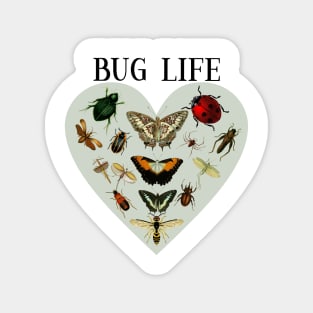 Entomology / Bug Lover /Entomologists / Bug Life Magnet