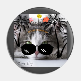 Cat's Paradise: Pin