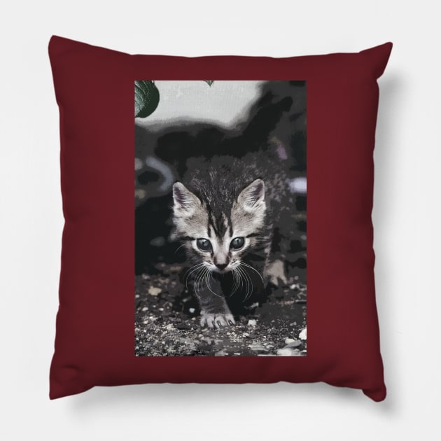 New Finition - Cat " Zazou "  3  (c)(t) by Olao-Olavia / Okaio Créations 300mm  f.2.8 canon eos 5  1989 Pillow by caillaudolivier