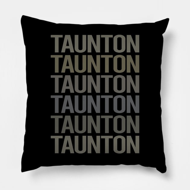 Gray Text Art Taunton Pillow by flaskoverhand