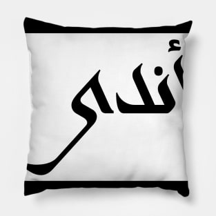 Andy in Cat/Farsi/Arabic Pillow