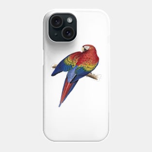 Scarlet Macaw Perched On A Branch Illustration Phone Case