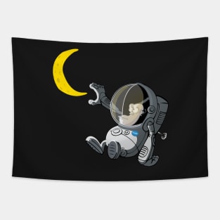 Space monkey Tapestry