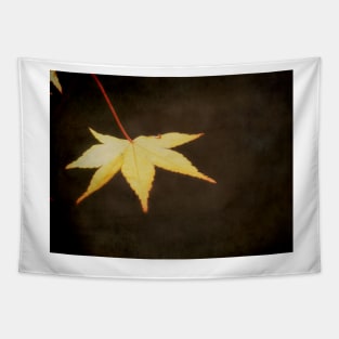 A Leaf at Sunset Tapestry