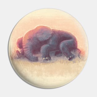 Baby Elephant Sleeping 2 Pin