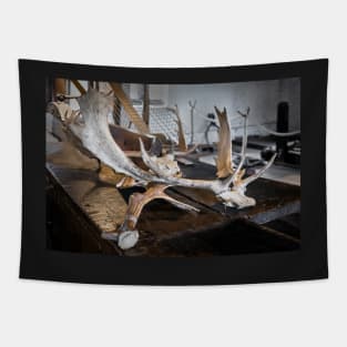 Dunham Massey -Deer horns Tapestry