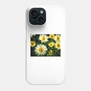 Daisy Flower Patch waking to the Morning Sunlight Phone Case