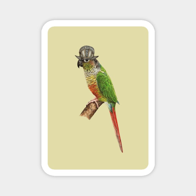 Green-cheeked parakeet Magnet by Mikhail Vedernikov