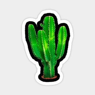 cactus euphorbia Magnet