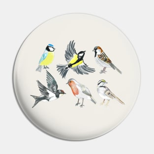 Illustrated Birds - Version 2 Pin