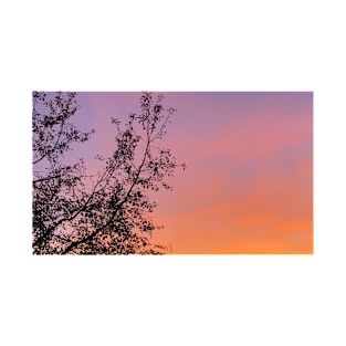 Beautiful Summer Sunset Orange and Pink Sky T-Shirt