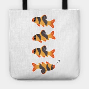 Clown loach Tote