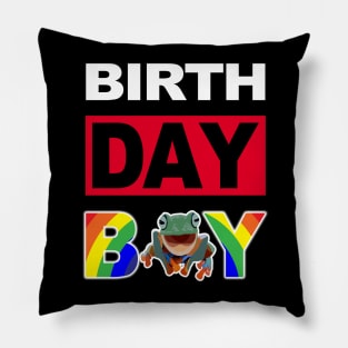 Birth Day Boy Pillow