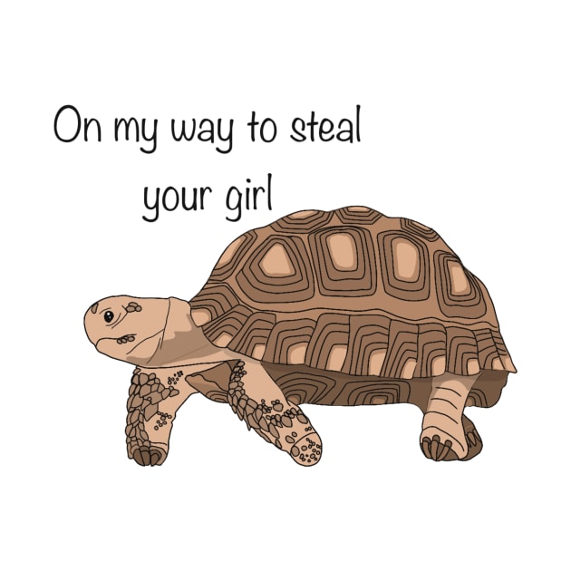 On My Way to Steal Your Girl Turtle by The Sword and The Stoned