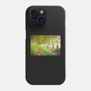 Green birches alley at sunrise Phone Case