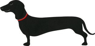 Dachshund Rosi Magnet