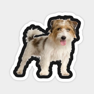 Jack Russell Rough 1 Magnet