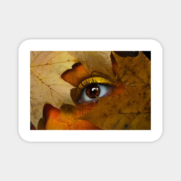 Brown maple leaf with person s eye Magnet by mydesignontrack