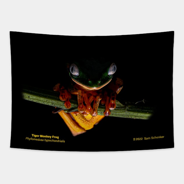 Tiger Monkey Frog Tapestry by Stone Forest Waters