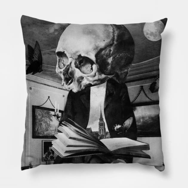 Philosophy Science Books Lover Gift Stoic Thinker Pillow by seruniartworks