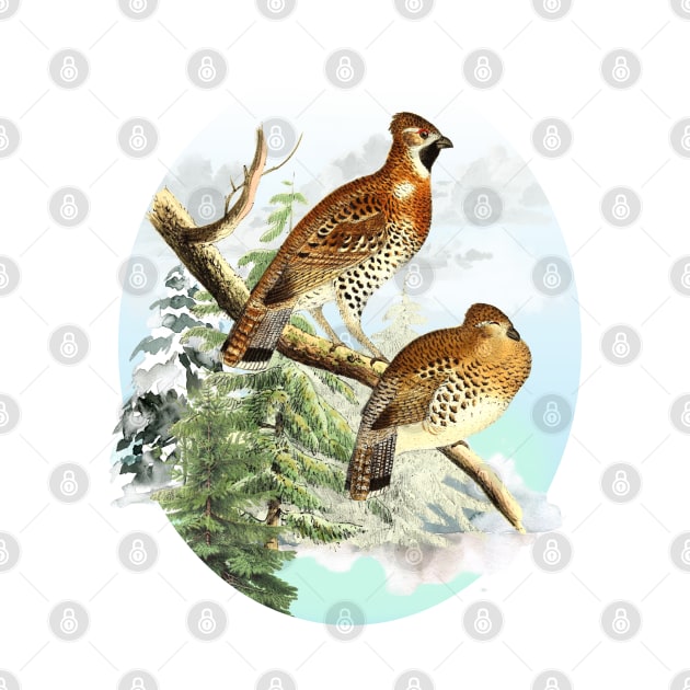 Partridges Wildlife Illustration by Biophilia