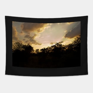 African Sunset #2 Tapestry