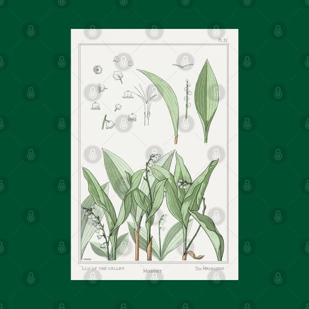 Maurice Pillard Verneui's 1896 Lilly of the Valley by Kitchen Sink Stickers and More!