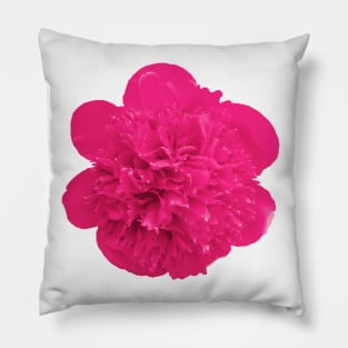 Pink Peony Pillow Pillow