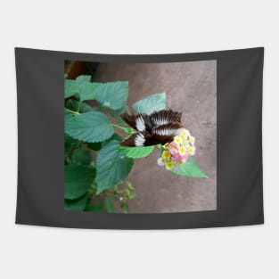 Natural Butterfly on a flower Tapestry