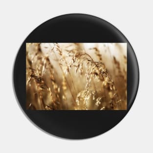 Illumined Pin