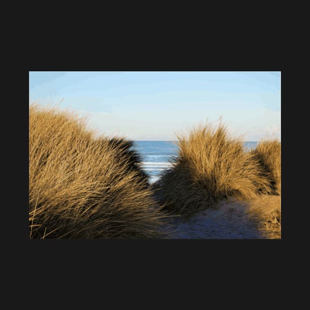 Sand Dunes at Bamburgh by TyneDesigns