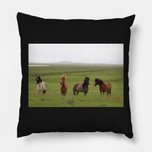Icelandic Horses in an Open Field Pillow