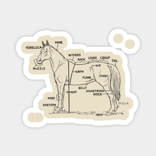 Horse anatomy Magnet