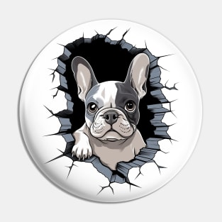 Boston Terrier in a Wall Pin