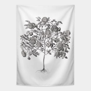 Rose Tree Vintage Botanical Illustration Tapestry