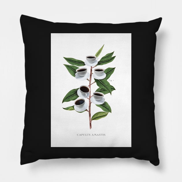 Coffee Botanical Print Pillow by Highdown73