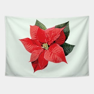 One Poinsettia Tapestry