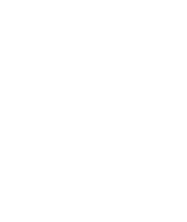 Skull Pineapple Magnet