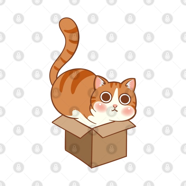 Orange cat in the box by tomodaging