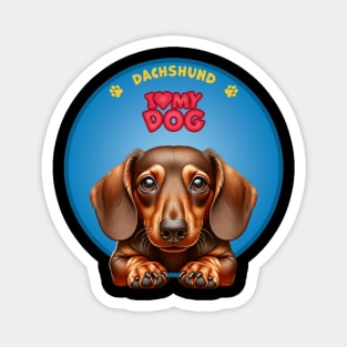 I Love my dog Dachshund Magnet