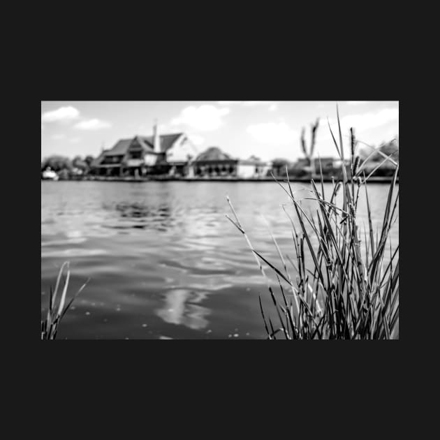 Reeds on the river bank by yackers1