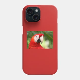 Scarlet  Macaw Phone Case