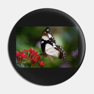 Mocker Swallowtail Pin