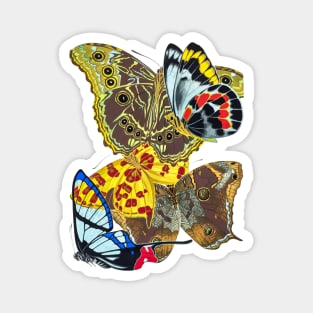 Butterflies Watercolor #13 Magnet