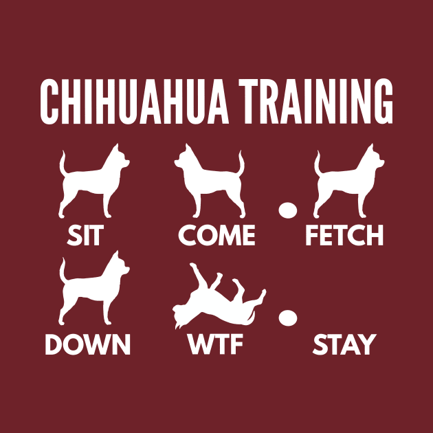 Chihuahua Training Chihuahua Tricks by DoggyStyles