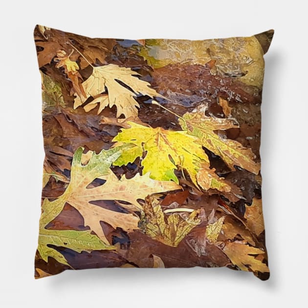 Fallen leaves floating in the river, 3, (Set of 3), fall, autumn, xmas, holiday, nature, forest, trees, winter, color, flowers, orange, art, botanical, leaves, leaf, floral, wet, rain, water, holidays, digital, spring, aqua, graphic-design, christmas Pillow by PrintedDreams