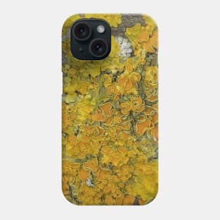 Yellow Lichen Phone Case