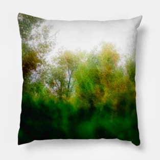Misty day in the park Pillow